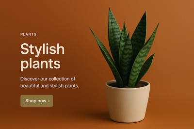 Stylish Plants Collection for Home Decor