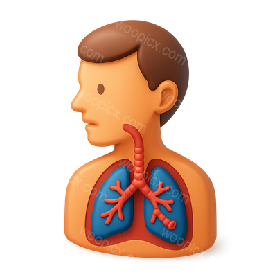 3D Bronchitis Icon with Human Anatomy Representation