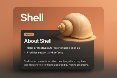 Integrated 3D Graphic Design Featuring a Shell Illustration