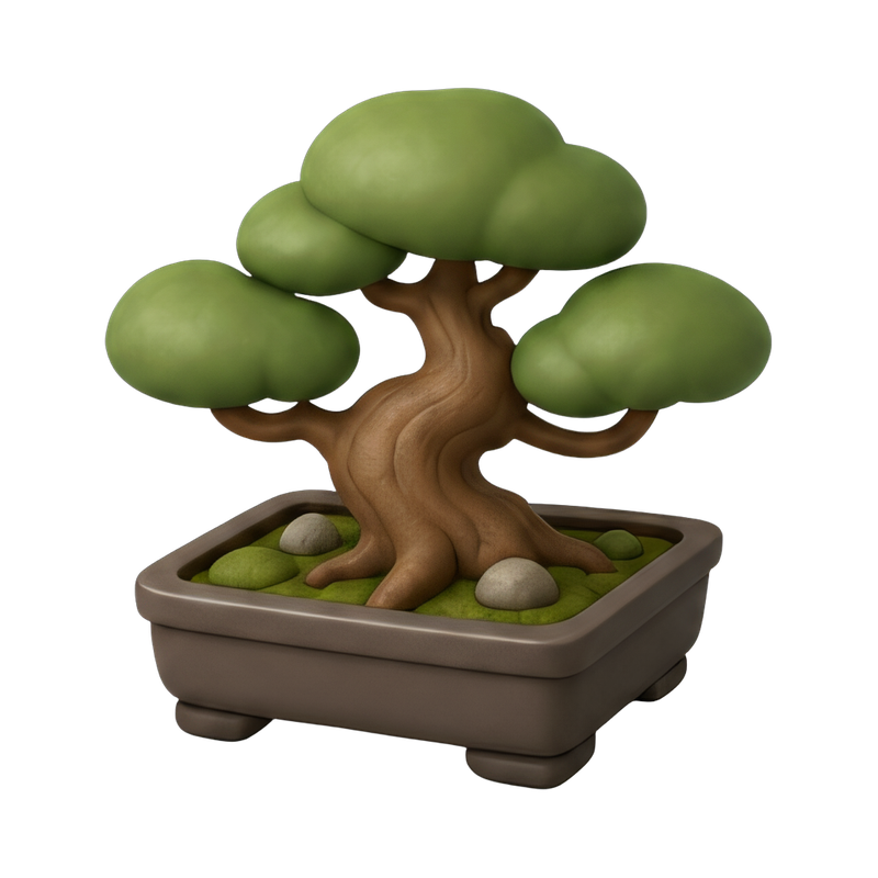 elegant bonsai pine tree
