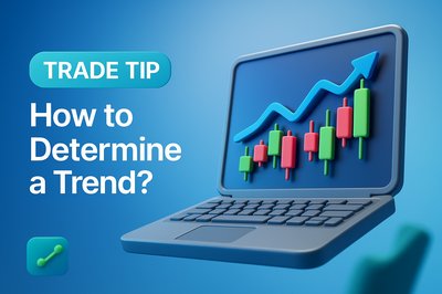 Dynamic 3D Composition for Trade Analysis