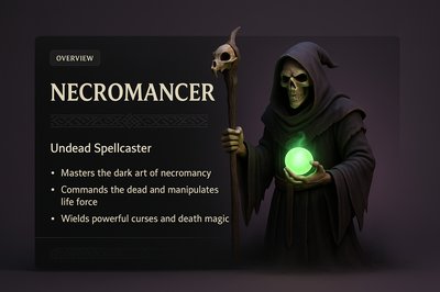 Dark Fantasy Necromancer Character Illustration with Infographic