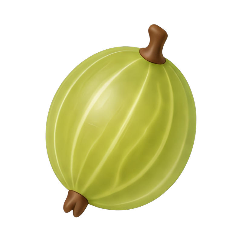 fresh translucent gooseberries