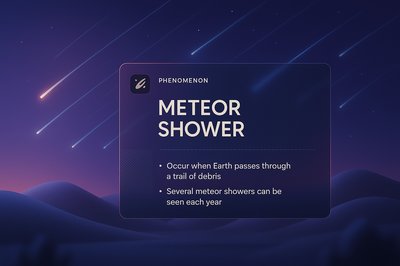 Stunning Meteor Shower Visualization with Informative Overlay