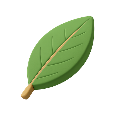 Stylish 3D Bay Leaf Icon with Isometric Design