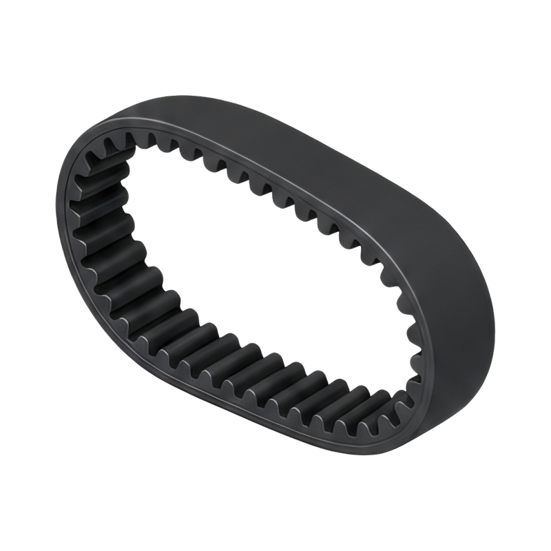 timing belt loop close-up