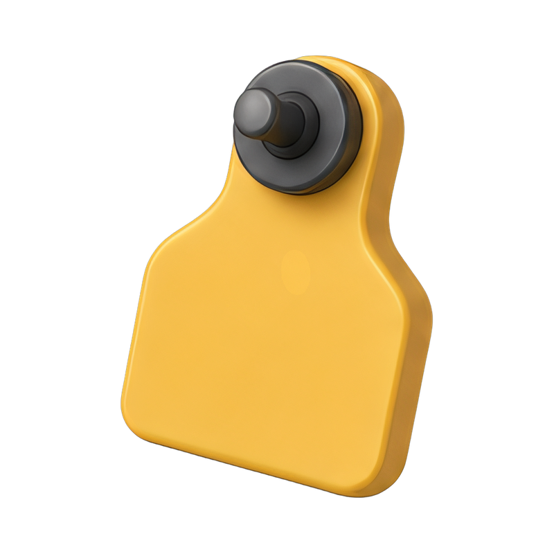 cattle ear tag close-up