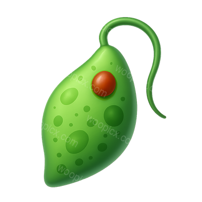 Stylized 3D Euglena Icon with Isometric View