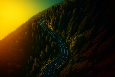 Aerial View of a Winding Mountain Road in a Lush Forest