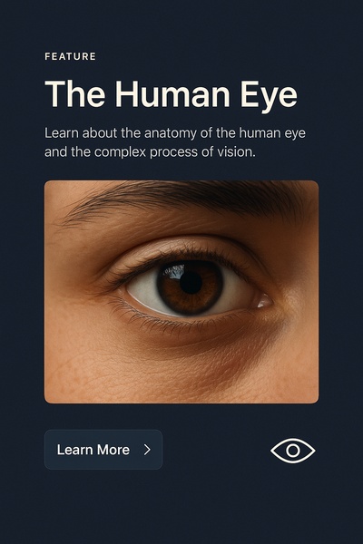 Stylish Web Page Design Featuring Human Eye