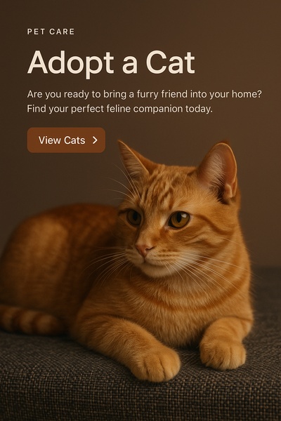 Stylish Web Design for Pet Adoption Page