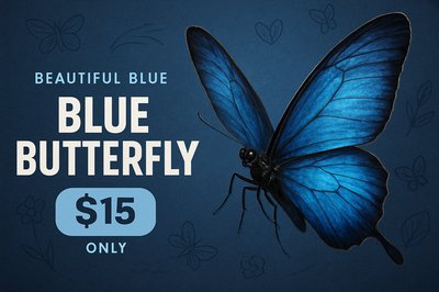 Vibrant Blue Butterfly Advertisement with Modern Typography