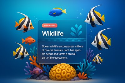 Vibrant Underwater Coral Reef with Tropical Fish