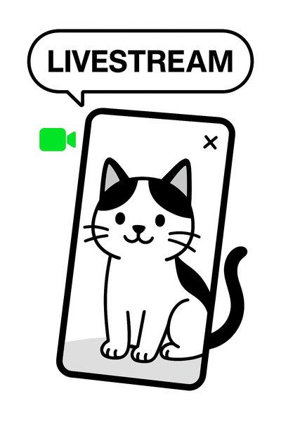 Cute Cat Illustration for Livestream Promotion