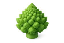 3D Romanesco Fractal Icon