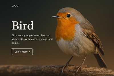 Stunning High-Resolution Bird Illustration for Web Design