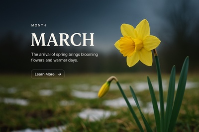 Stylish Web Design for March with Flower Theme