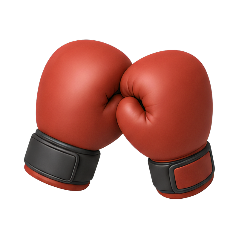 pair of boxing gloves