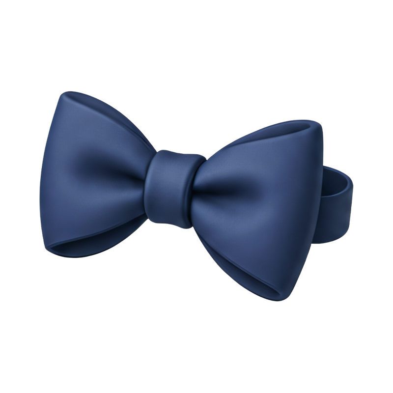 elegant satin bow tie