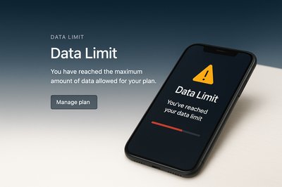 Stylish Universal Design for Data Limit Notification Page