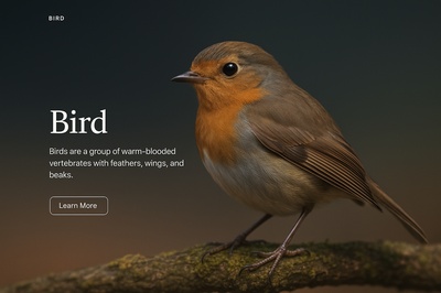 Stunning Bird Illustration in High Resolution