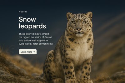 Stylish Web Page Design Featuring Snow Leopards