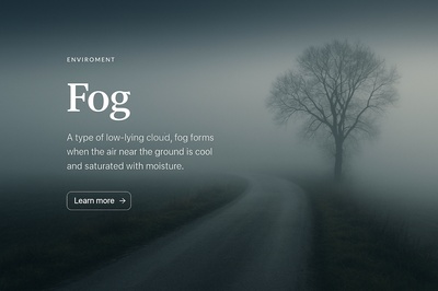 Mysterious Fog: Nature's Atmospheric Phenomenon