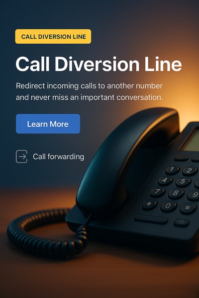 Call Diversion Line Information Graphic