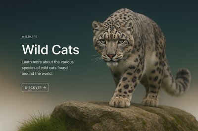 Stylish Web Page Design Featuring Wild Cats