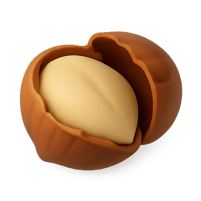 Stylized Nut with Creamy Center Design