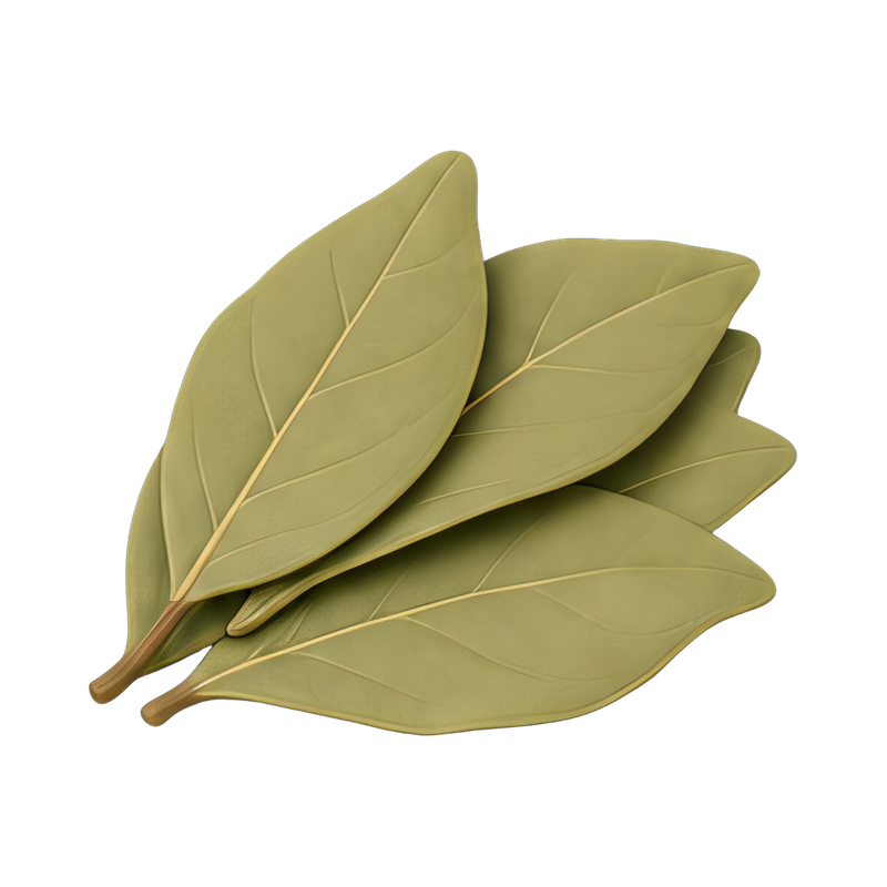dried bay leaves stack