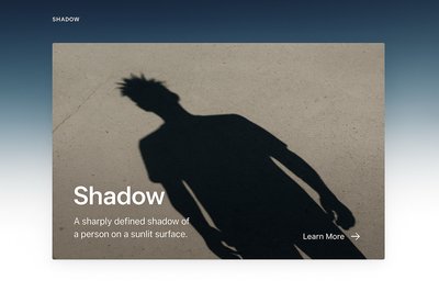 Stylish Web Design Featuring a Shadow Theme