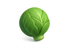 Stylish 3D Brussels Sprout Icon