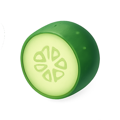 Realistic Cucumber Slice with Detailed Texture