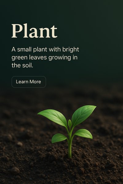 Detailed 3D Scene of a Small Plant Growing in Dark Soil