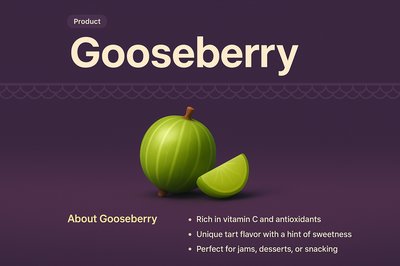 Gooseberry Product Landing Page Design Concept