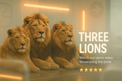 Promotional Graphic Featuring Three Majestic Lions