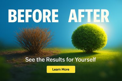 Transformative Before and After Landscape Image