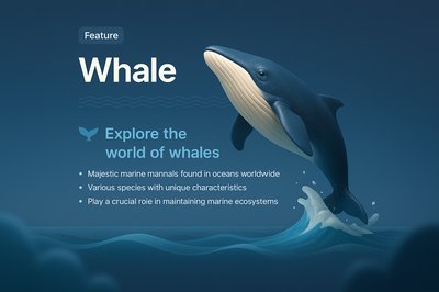 3D Illustration of a Whale with Feature Highlights