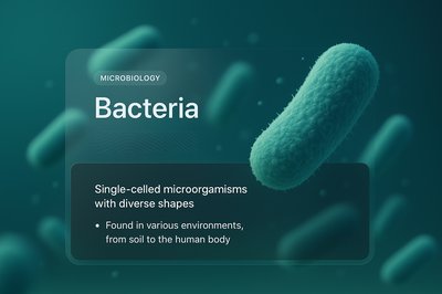 3D Bacteria Illustration with Informative Overlay