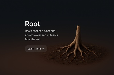 3D Illustration of a Root with Nutrient Absorption Context