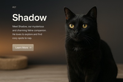 Stylish Dark-themed Web Design Featuring a Cat