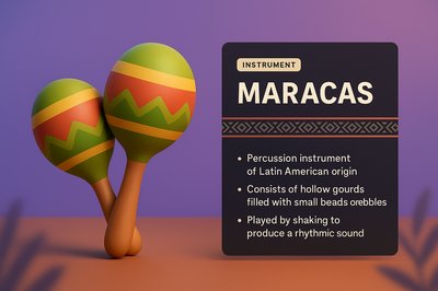 3D Illustration of Maracas with Informative Design Elements