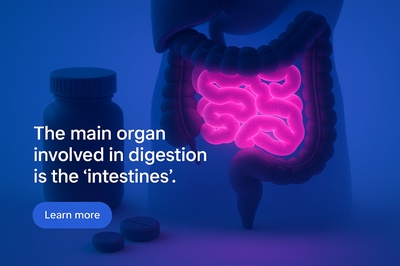 Vibrant Neon Pink Intestines Glowing in Blue Background