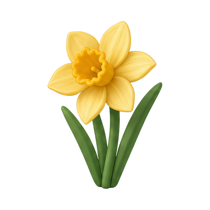 vibrant yellow daffodil blooms
