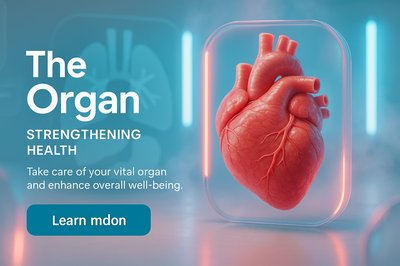 3D Heart Model Promoting Health Awareness