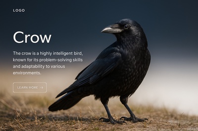 Stylish Web Page Design Featuring a Crow
