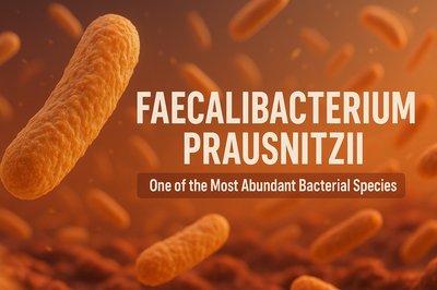 3D Rendering of Faecalibacterium Prausnitzii Bacteria