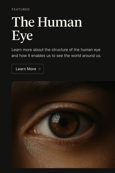 Stylish Website Design Featuring the Human Eye