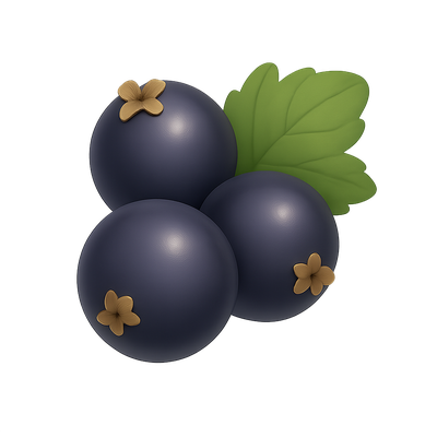 Stylized 3D Blackcurrant Icon with Green Leaf